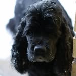 Dan Brodén - @danbrode - Instagram