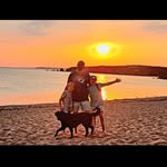 Dan Brodie - @brodie.dan - Instagram