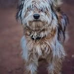 Dan Brodsky - @dan.brodsky.96 - Instagram