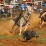 Dan Kinsel | Ranch Broker - @dankinselranches - Instagram