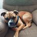 Dan Brooke - Facebook