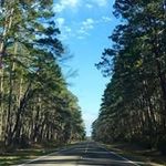 Dan Brooker - @brooker_d - Instagram
