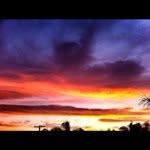 Dan Brooking - @dbbkm - Instagram
