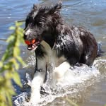 Dan Brookshire - @brookshiredan - Instagram