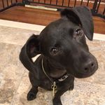 Dan Broom - @danbroom23 - Instagram