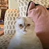 DanielBrotman4083 - @dirtydan4083 - TikTok