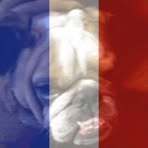 Dan Broussard - Facebook