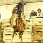 Dan Browning - @danbrowning1976 - Instagram