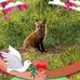 Dan Browning - Facebook