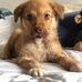 Daniel Bruch - Facebook