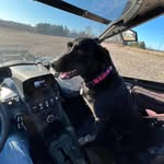 Dan Brugger - @crashdummy7747 - Instagram