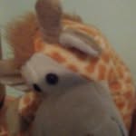 daniel moosbrugger - @daniel_mooabrugger - Instagram