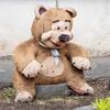 dannybruins2 - @danny.bruins - TikTok