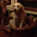 Dan Brune - Facebook