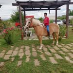 @daniele_brunetti020 - Instagram
