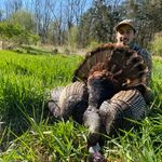 Dan Buccino - @danbuccino - Instagram