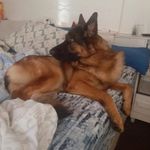 Danilo Bucci - @danbucci10 - Instagram