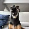 Daniel Bundy - @daniel.bundy2 - TikTok