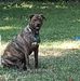 Daniel Burkhart - Facebook