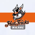 Danbury Jr. Hat Tricks (NA3HL) - @danburyjrhattricksna3 - Instagram
