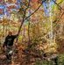 Dan Bushey - Facebook