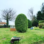 Dan Mac - @dan.thebushman - Instagram