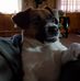 Dan Butz - Facebook