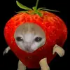 danbye_1 - @danbye_1 - TikTok