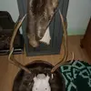 danbyler987 - @danbyler987 - TikTok