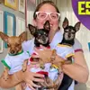 Pequenos Fan - @danbylero - TikTok