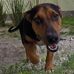 Dan Bynum - Facebook