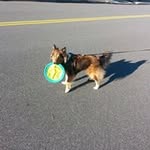Dan Cable - @capdan3rd - Instagram