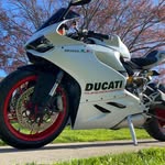 Dan Cacciato - @dan_cacciato - Instagram