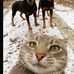 Dan Cadena - Facebook