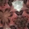 Danny Cadle - @danny.cadle - TikTok