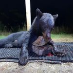 Dan Cagle - @dan_cagle7566 - Instagram