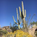 Dan Cagle III - @dancagle3 - Instagram