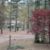 Danielle Cagle - @danielle.cagle - TikTok