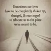 Dan Cairns - @dan.cairns84 - TikTok