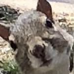Daniel c - @dan.calderon1019 - Instagram