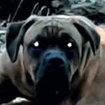 Dan Mcallister - @mcallister_dan - Instagram