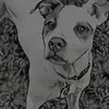 dancanada699 - @dancanada699 - TikTok