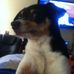 Dan Canaday - Facebook