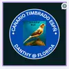 🐦‍🔥🐦‍⬛canariosDanthy@yade - @danthyfloridacanary - TikTok