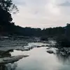 dankcanary - @andregilangprstw - TikTok