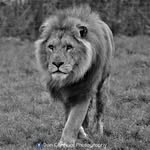 Dan Canham - @dancanhamphotography - Instagram