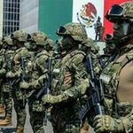 Dan Cano - @cano.dan - Instagram