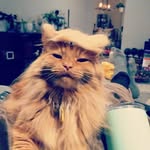 Dan Canterbury - @dan.canterbury - Instagram