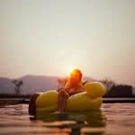 Dan Caporale - @simplertimes - Instagram