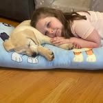 Dan Carberry - @dcarberry1 - Instagram